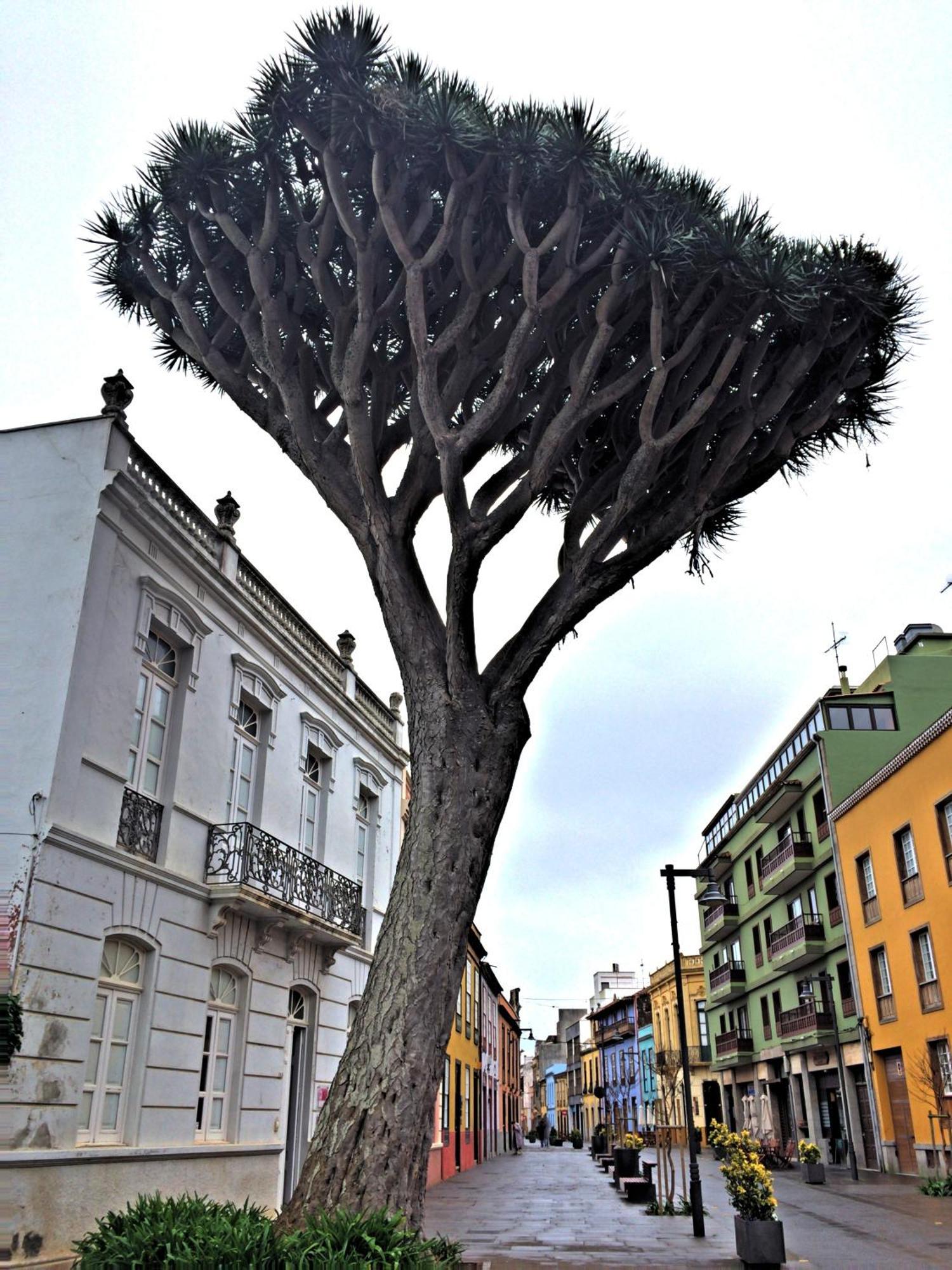 Appartamento Sweet Laguna With Free Parking *
