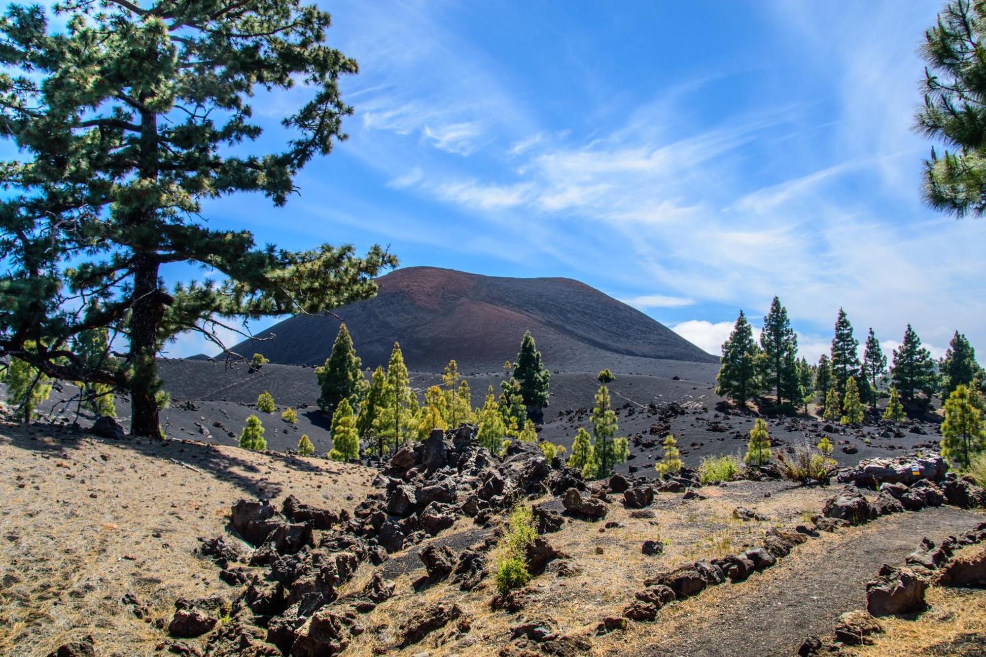 Sweet Laguna With Free Parking Appartamento La Laguna (Tenerife)