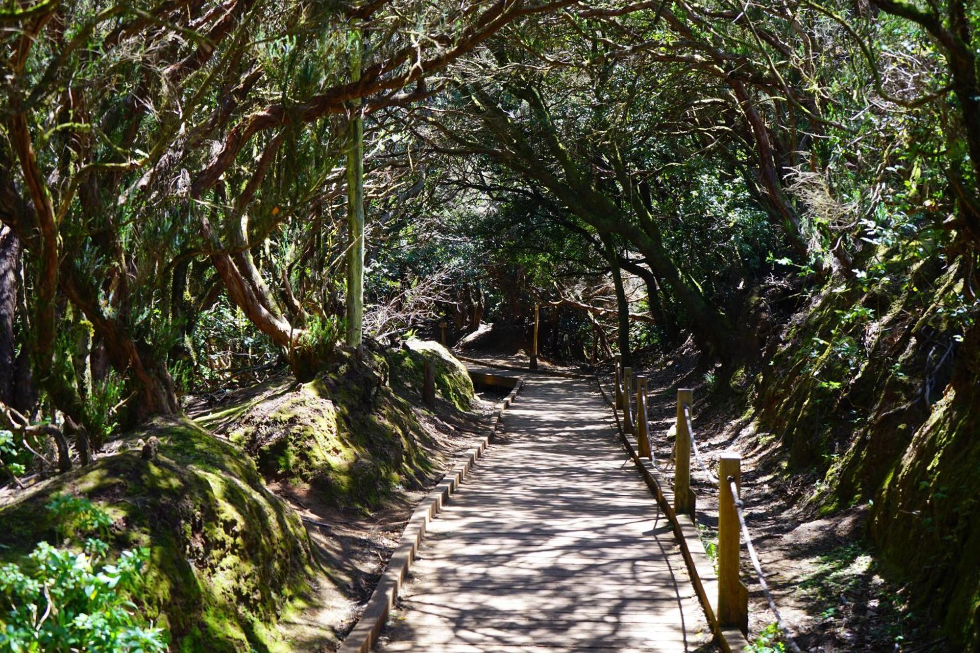 Sweet Laguna With Free Parking Appartamento La Laguna (Tenerife)